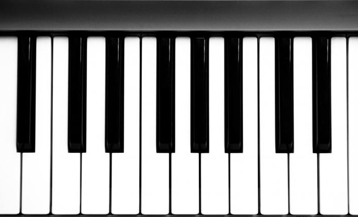 Zagraj na pianinie na klawiaturze psa walca