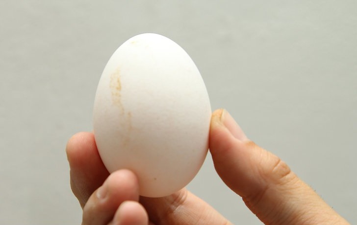 kako hitro očistiti jajca iz lupine