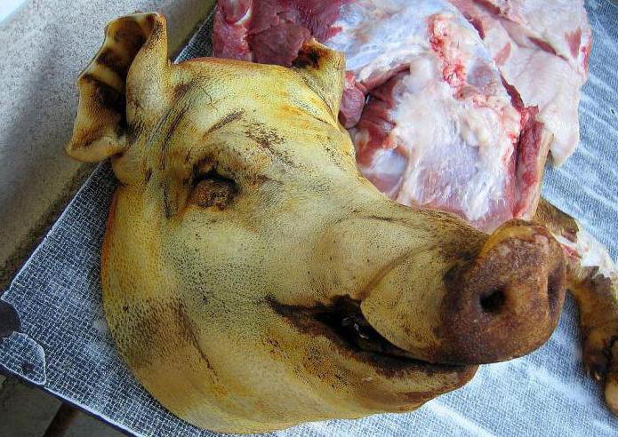 kako ubiti svinju