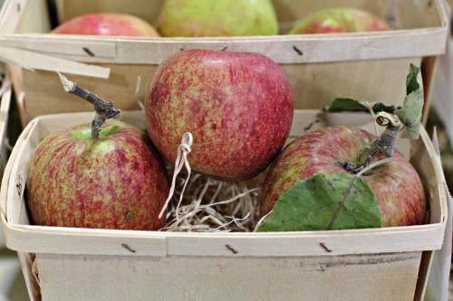 Как да съхранявате ябълки за зимата