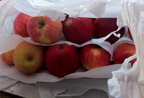 Съхраняване на ябълки за зимата
