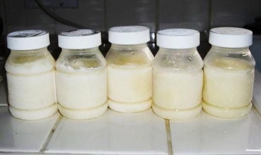 jak ukládat vyjádřené mateřské mléko