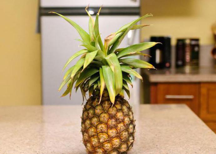 kako pohraniti ananas u hladnjak