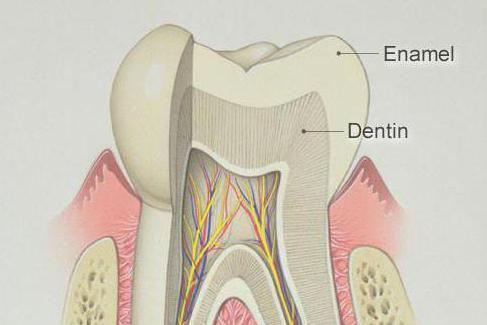 супстанца јача цаклину зуба