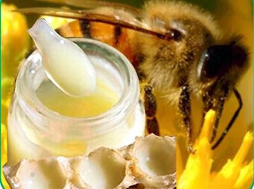Jak wziąć mleczko pszczele