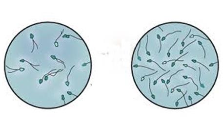 как да премине сперма правилно