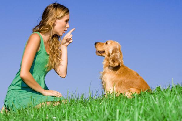 jak uczyć psich poleceń głosowych