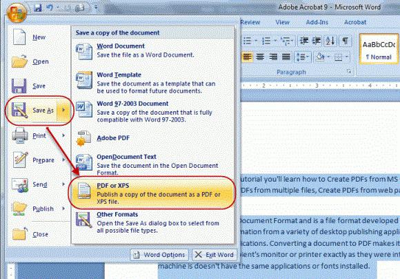 traduci il documento pdf in Word