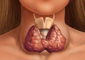 щитовидната жлеза при жените