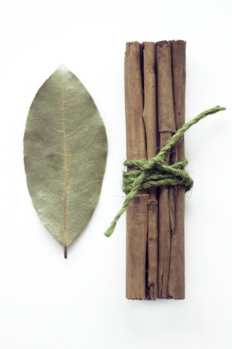 škorice na bambusové listy