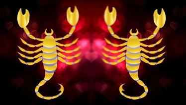 kompatibilnost škorpiona