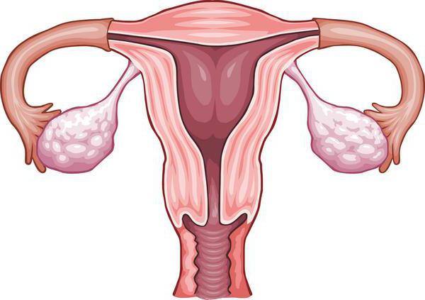 HPV 16 za ženske