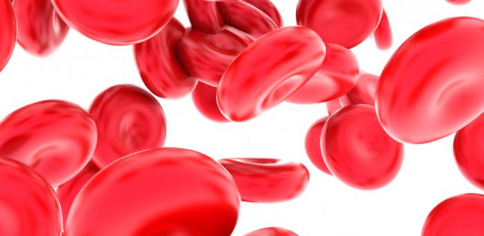 червени кръвни клетки