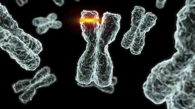 DNA mutacije