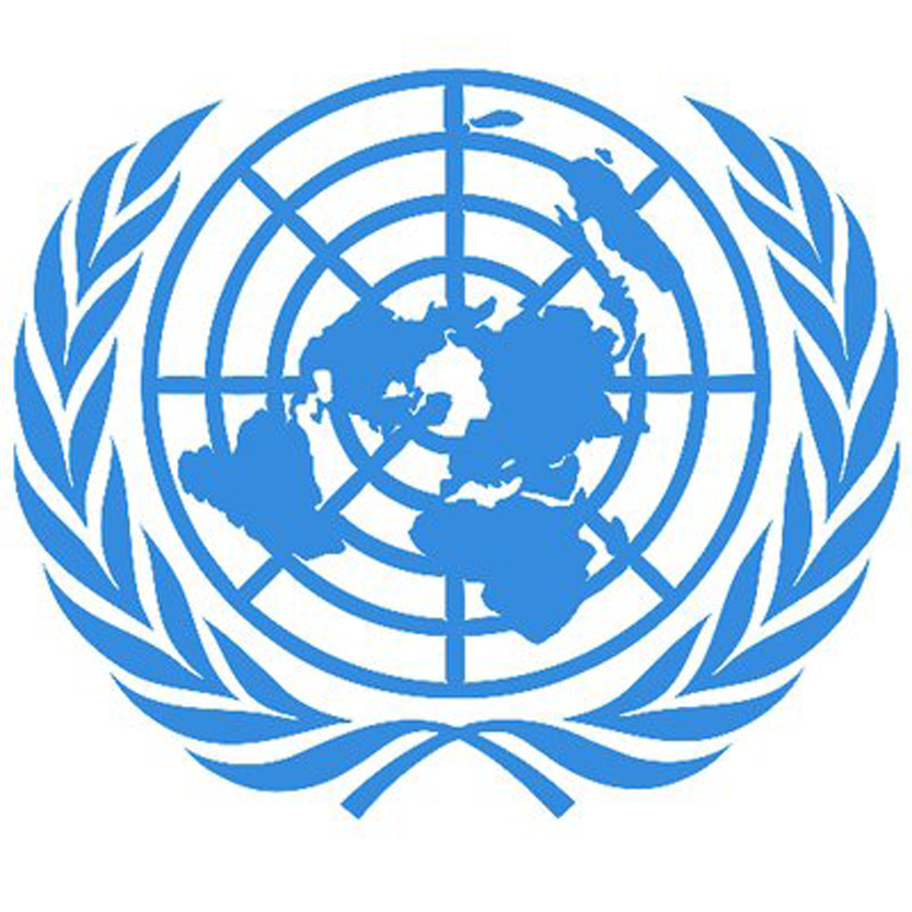 международна декларация за права