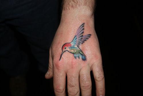 Fotografia tatuaż kolibra
