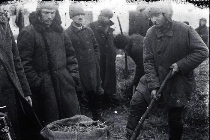 glad u regiji Volge 1932 1933 broj žrtava