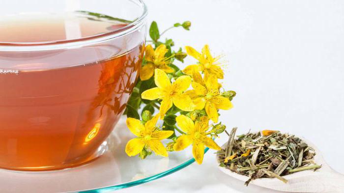 I benefici del tè di San Giovanni e l'applicazione del danno