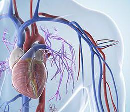 hypertrofické příznaky kardiomyopatie