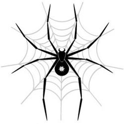 o czym marzy pająk