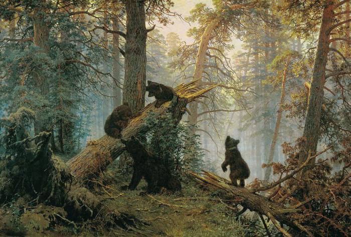 trzy niedźwiedzie opis zdjęcia
