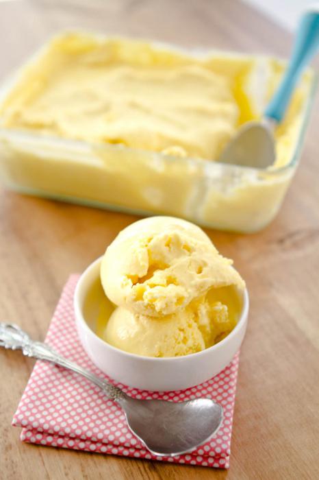 ricetta gelato artigianale con foto
