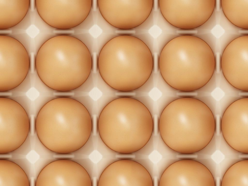 Selezione di uova per l'incubazione