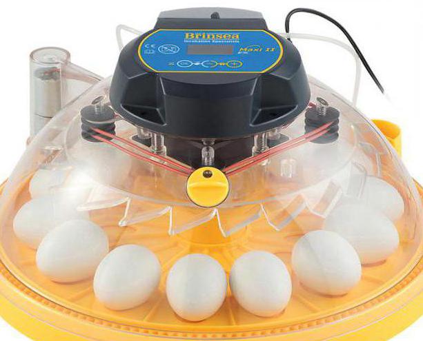 inkubátor vajec automatický Cena