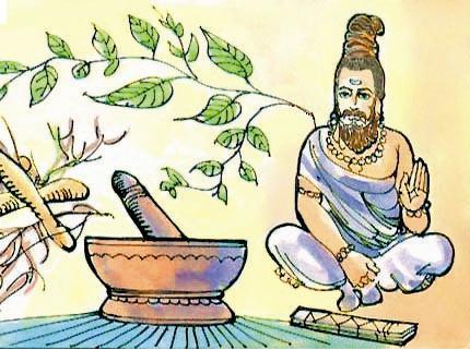 Indická cibule v tradiční medicíně