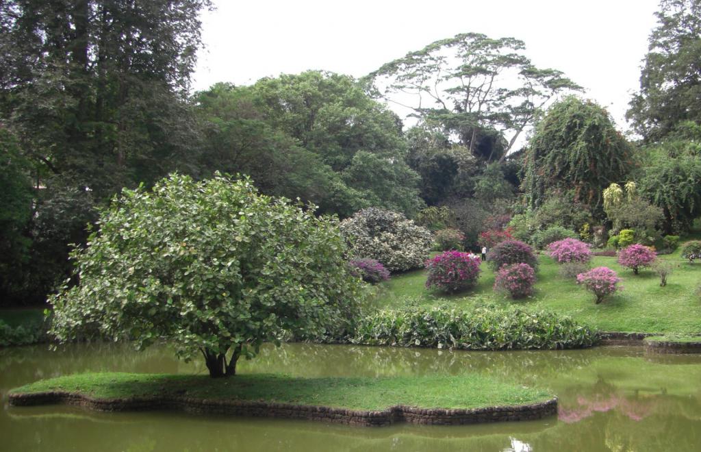 Кралска ботаническа градина
