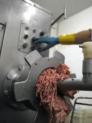elektrické průmyslové mlýny na maso