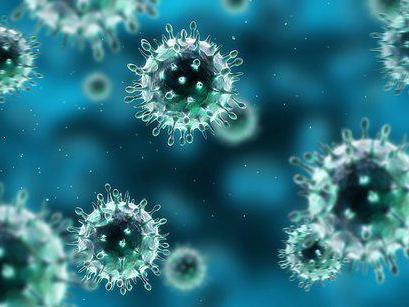 infezione da rinovirus