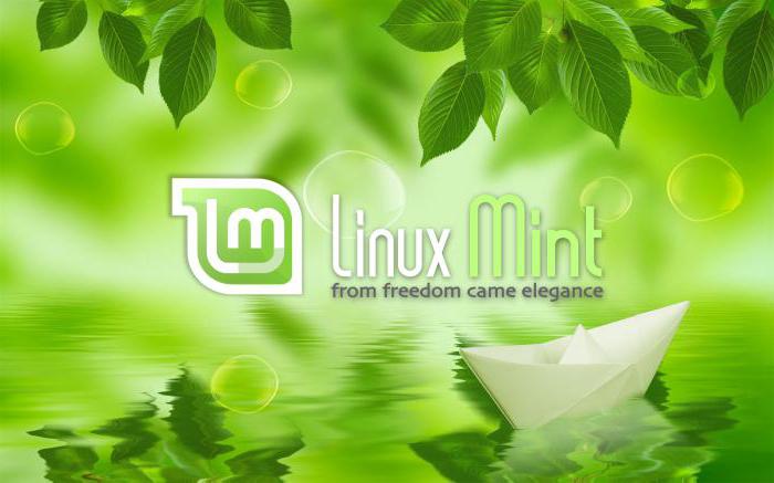 linux mint installation