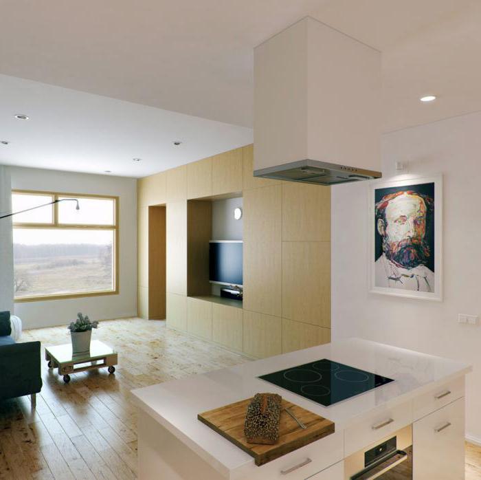 design interiéru kuchyně obývací pokoj 20 m2