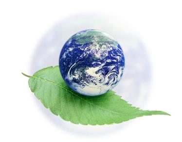 Международни екологични организации
