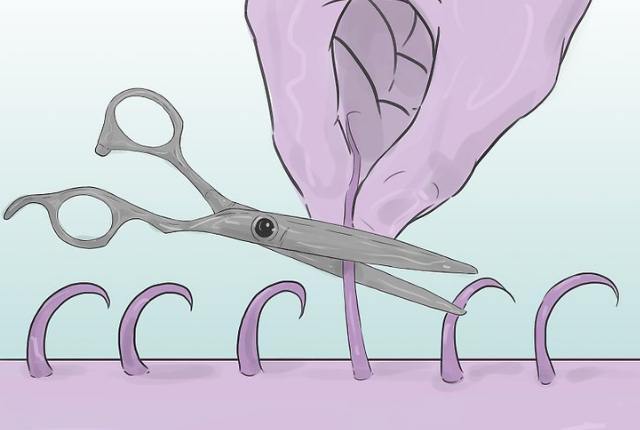 Taglio di capelli in aree intime