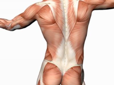 liječenje artritisa chisinau kako čučati za bolove u zglobovima