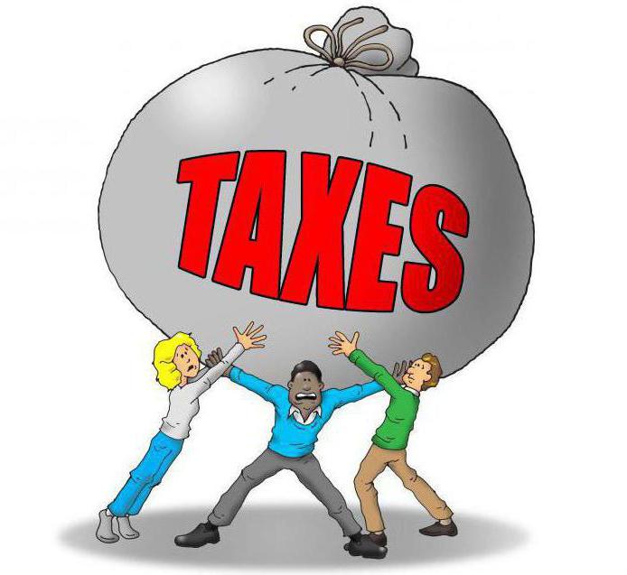 druhy daní