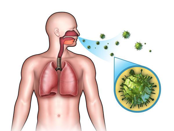 infekční bronchitida