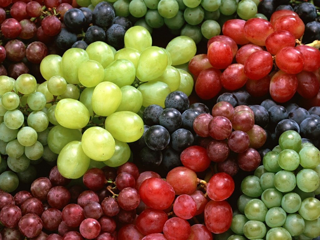 Raznovrsnost grožđa
