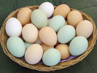 vařené vejce při kojení