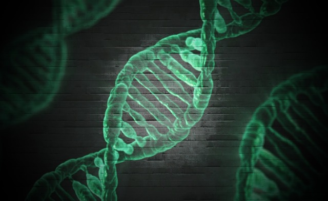 Človeški genom