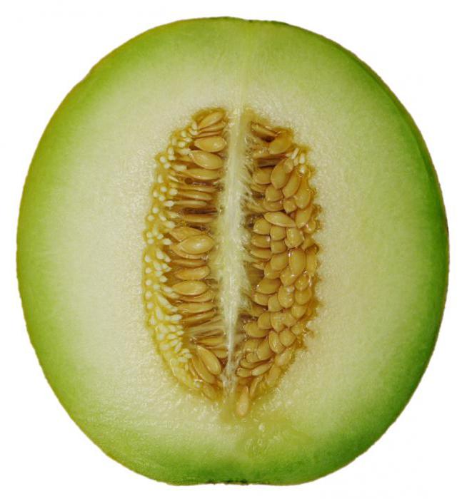 melon to