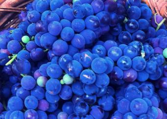 grozdje doma isabella
