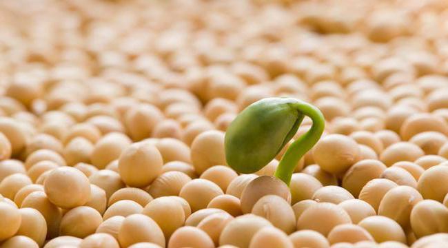 Pregled izoliranih proteina iz soje