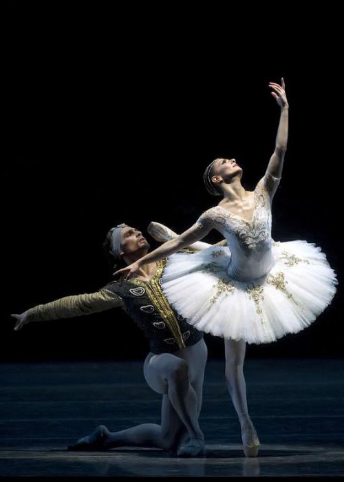 Balletto di Ivan Vasiliev