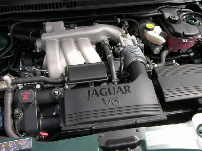 opinie właściciela typu jaguar x
