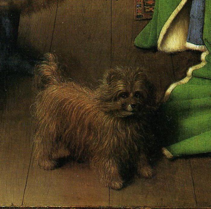 descrizione della foto di Jan van Eyck «Ritratto di coppia