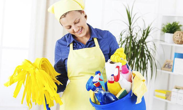 donna delle pulizie per un'ora