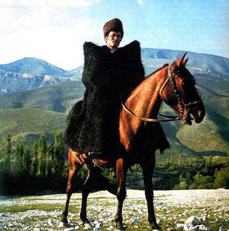 Popis plemene koně Karachai